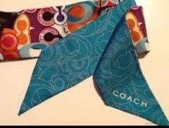 Coach Poppy Pop C Signature Print Ponytail Scarf