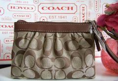 Signature Pleated Wristlet