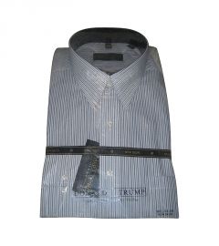 Blue & White Pin Stripe Silk Shirt