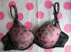 Gorgeous Embroidered Push Up Bra